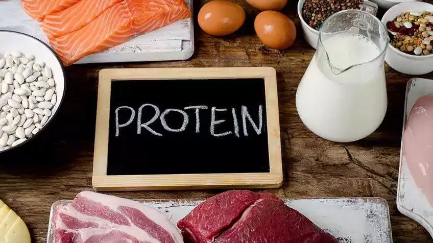Սպիտակուց (պրոտեին)